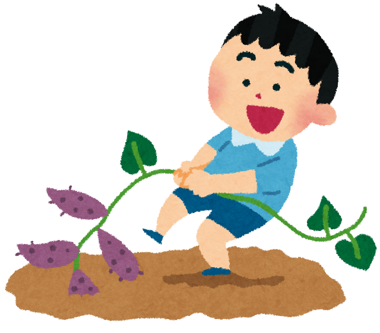 いま、焼き芋が甘い時期です